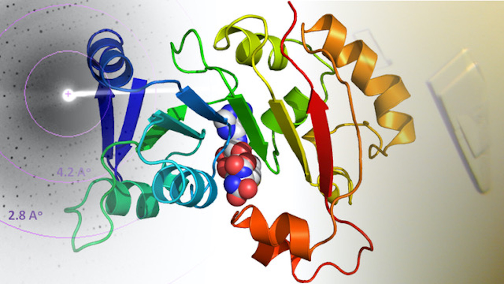 Molecular mechanisms of RNA-mediated regulation of OAS1