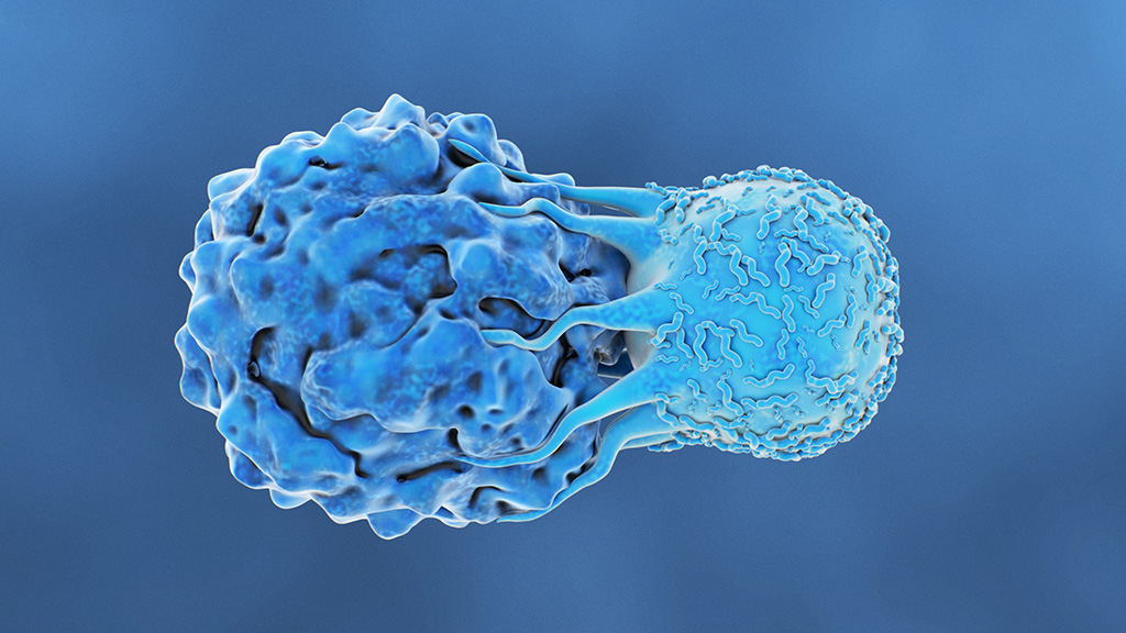 Illustration of T cell attacking cancer cell