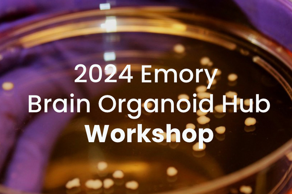 2024 Emory Brain Organoid Hub Workshop
