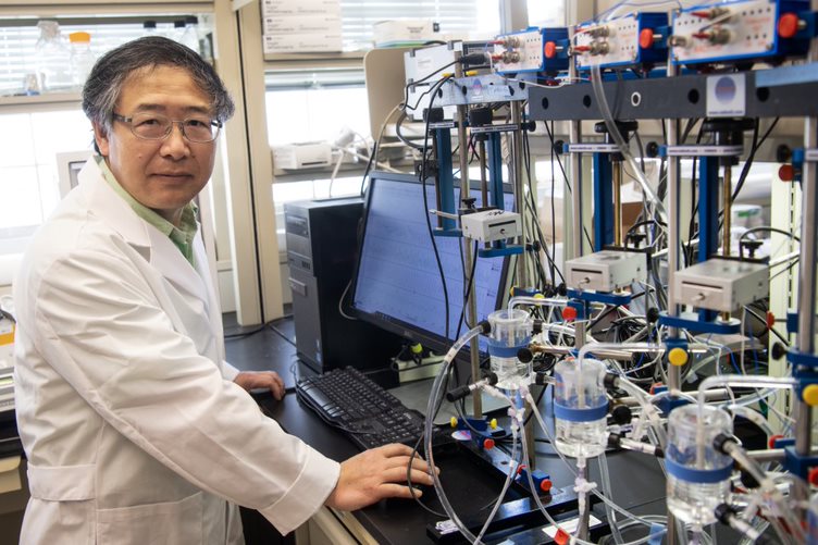 Dr. Liu in the lab