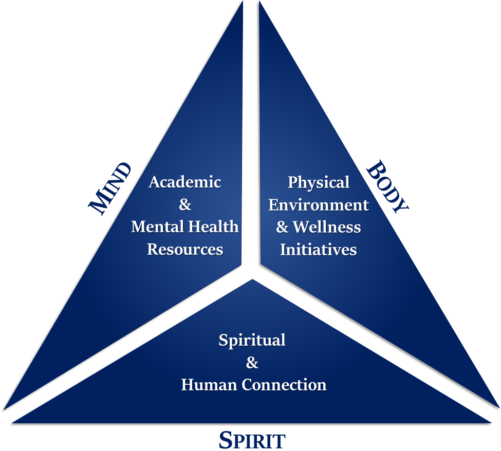 triad of mind body spirit makes up holistic well-being