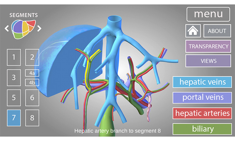VME Gallery - Surgical Anatomy of the Liver